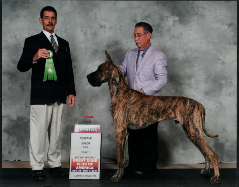 Joel Cool with Joel Rosenblatt in Futurity