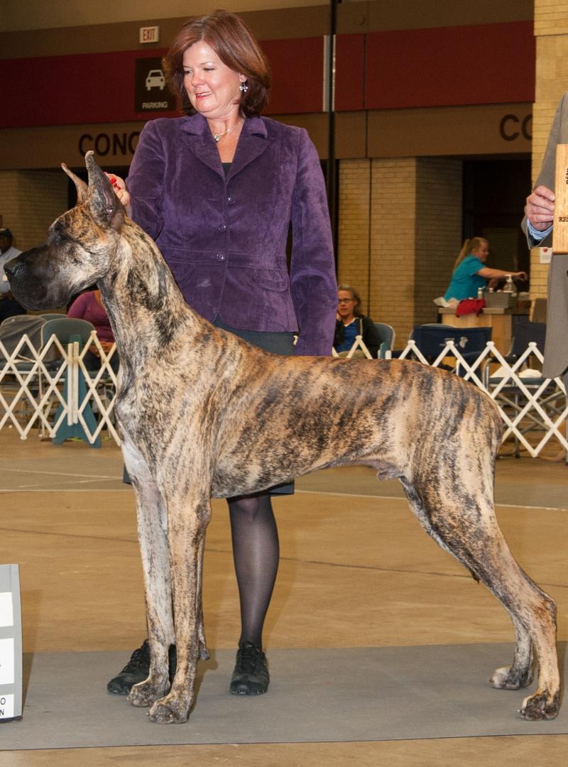 Joel Cool Sees Mommie!