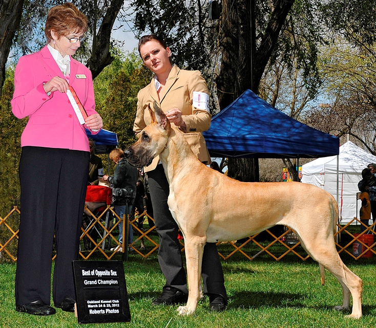 New GCH
